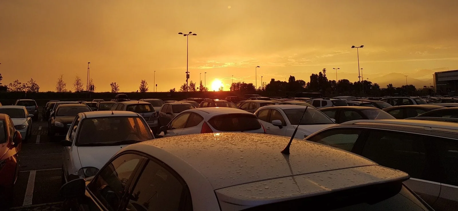 parking2